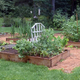 Illustration for article titled Replace Your Water-Wasting Lawn With These Alternatives